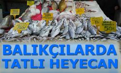 Bilecik'te Balıkçılarda Tatlı Heyecan