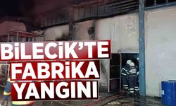 Bilecik’te fabrika yangını