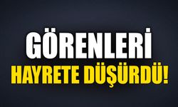 GÖRENLERİ HAYRETE DÜŞÜRDÜ!