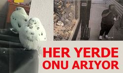 HER YERDE ONU ARIYOR
