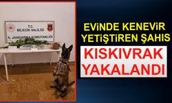 EVİNDE KENEVİR YETİŞTİREN ŞAHIS KISKIVRAK YAKALANDI