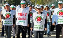 Kütahya Şeker Fabrikası işçileri greve başladı