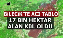 BİLECİK'TE ACI TABLO