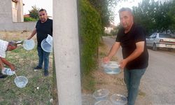 Mahalle muhtarından sokak hayvanlarına yönelik örnek çalışma