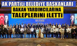 AK PARTİLİ BELEDİYE BAŞKANLARI BAKAN YARDIMCILARINA TALEPLERİNİ İLETTİ