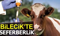 BİLECİK’TE ŞAP HASTALIĞINA KARŞI AŞILAMA SEFERBERLİĞİ BAŞLADI!