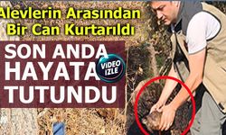 Yangından son anda kurtarıldı