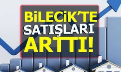 BİLECİK'TE SATIŞLARI ARTTI!