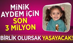 MİNİK AYDEM İÇİN SON 3 MİLYON TL...  BİRLİK OLURSAK YAŞAYACAK!