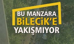 BU MANZARA BİLECİK'E YAKIŞMIYOR