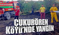 Çukurören Köyü'nde yangın