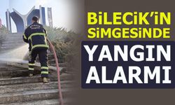 BİLECİK'İN SİMGESİNDE YANGIN ALARMI