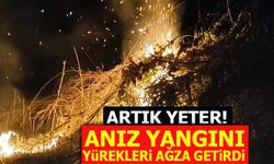 ANIZ YANGINI YÜREKLERİ AĞZA GETİRDİ