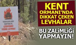 KENT ORMANINDA DİKKAT ÇEKEN LEVHALAR