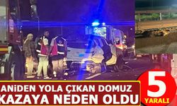 Aniden yola çıkan domuz kazaya neden oldu: 5 yaralı