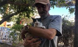 30 yıldır sokak kedilerine kapısını açıyor