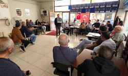 Kanaryalar satışa çıktı