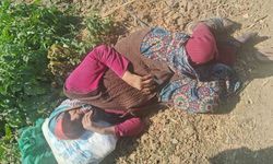 Kaybolan 74 yaşındaki kadın bulundu