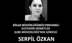Kazada hayatını kaybeden kadının mühendis olduğu olduğu ortaya çıktı