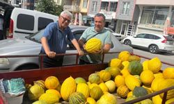 Kuruçay kavunu tezgahlarda