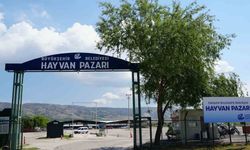 Şap hastalığı sebebiyle Büyükşehir Hayvan Pazarı kapatıldı