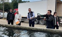Alabalığın Kalbi Bozüyük'te Atacak
