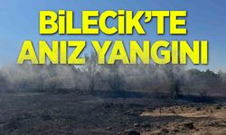 Bilecik’te anız yangını: 2 hektar alan kül oldu