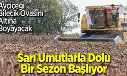 Sarı Umutlarla Dolu Bir Sezon Başlıyor