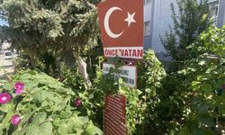 Bayram amcanın bahçeye yerleştirdiği özlü sözler dikkat çekiyor