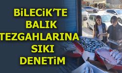 BİLECİK'TE BALIK TEZGAHLARINA SIKI DENETİM