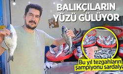 Bu yıl tezgâhların şampiyonu sardalya