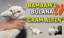 BAMBAM'I BULANAN ''GRAM ALTIN''