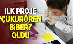 İlk proje ''Çukurören Biberi'' oldu