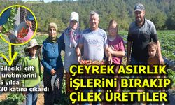 Çeyrek asırlık işlerini bırakıp çilek ürettiler