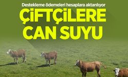 Çiftçilere can suyu