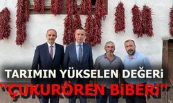 TARIMIN YÜKSELEN DEĞERİ ''ÇUKURÖREN BİBERİ''