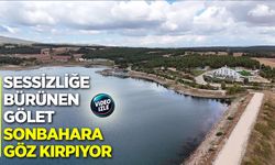 Sessizliğe Bürünen Gölet Sonbahara Göz Kırpıyor