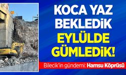 Koca Yaz Bekledik Eylülde Gümledik