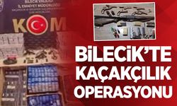 Bilecik’te kaçakçılık operasyonu: 1 kişi tutuklandı