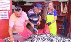 Kandilde bu sefer lokma yerine 1 ton hamsi ücretsiz dağıtıldı