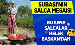 Subaşı'nın salça mesaisi
