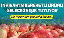 İnhisar’ın Bereketli Ürünü Geleceğe Işık Tutuyor