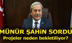 MÜNÜR ŞAHİN SORDU PROJELER NEDEN BEKLETİLİYOR?