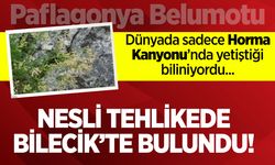 Nesli Tehlikede Bilecik’te Bulundu!