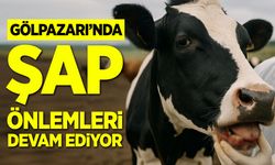 Gölpazarı’nda Şap Önlemleri Devam Ediyor