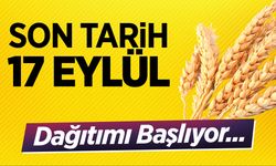 Son tarih 17 Eylül