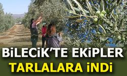 Bilecik'te ekipler tarlalara indi