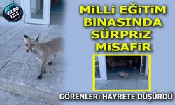 MİLLİ EĞİTİM BİNASINDA SÜRPRİZ MİSAFİR