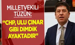 TÜZÜN: "CUMHURİYET HALK PARTİSİ ULU ÇINAR GİBİ DİMDİK AYAKTADIR"