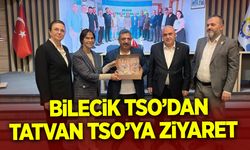 Bilecik TSO’dan Tatvan TSO’ya Ziyaret